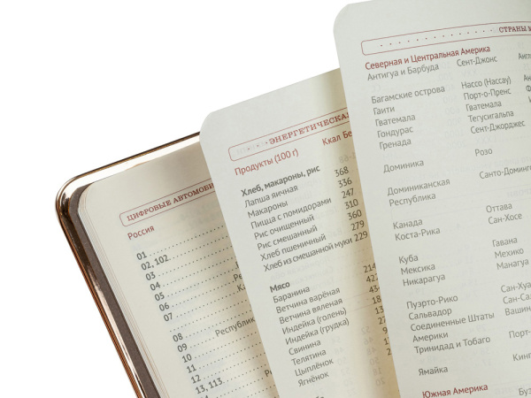 Ежедневник недатированный A5 «Chelsea», Размер A5, Цвет черный/золотистый