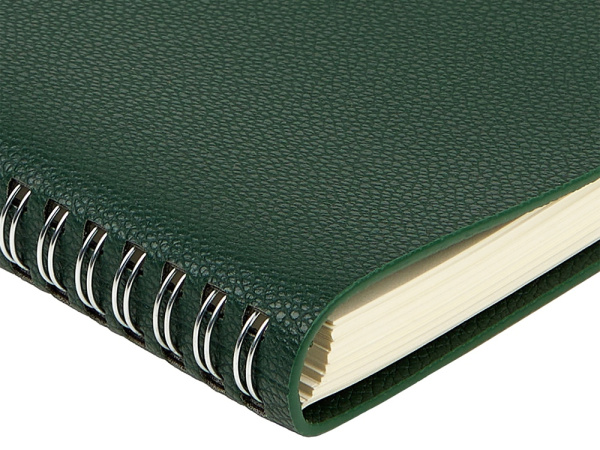 Ежедневник недатированный А5 «Alba», Цвет зеленый