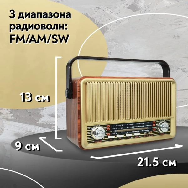 Переносной радиоприемник SR-1028, аналоговый, FM, AM, SW, разъемы USB, TF, microSD, AUX / Качественный звук