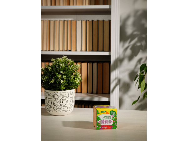 Набор для выращивания «Мята», Цвет желтый