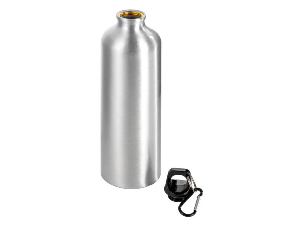 Бутылка «Hip M» с карабином, 770 мл, Цвет серебристый