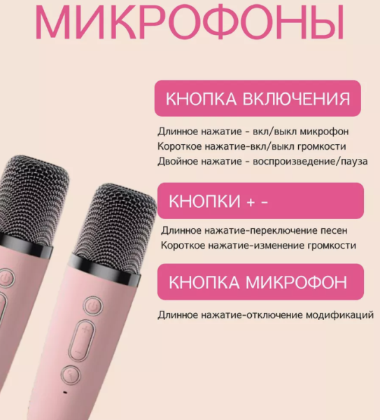 Музыкальная беспроводная колонка с двумя микрофонами Colorful karaoke sound system (звуковые эффекты)