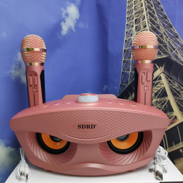 Беспроводная семейная Караоке система SDRD®  SD-306 с двумя микрофонами в комплекте