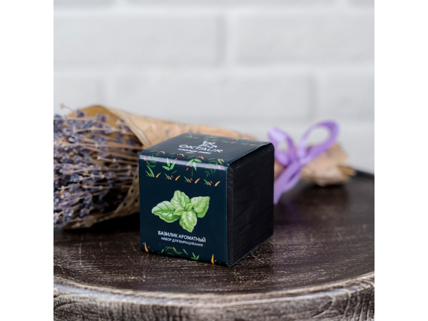 Набор для выращивания «Small village cube «Базилик ароматный», Цвет черный