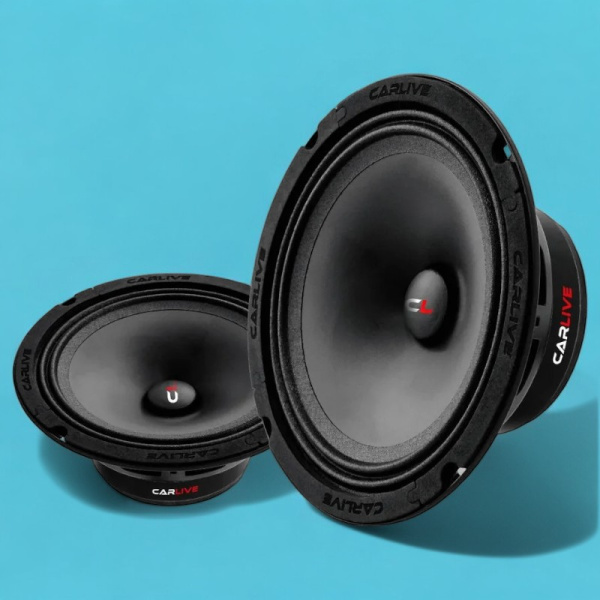Эстрадная акустика Carlive BCL650 Premium (6.5") / Сила и баланс звука