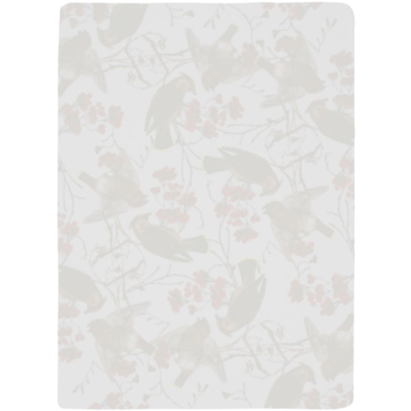 Флисовый плед Winter Bird, 106х140 см