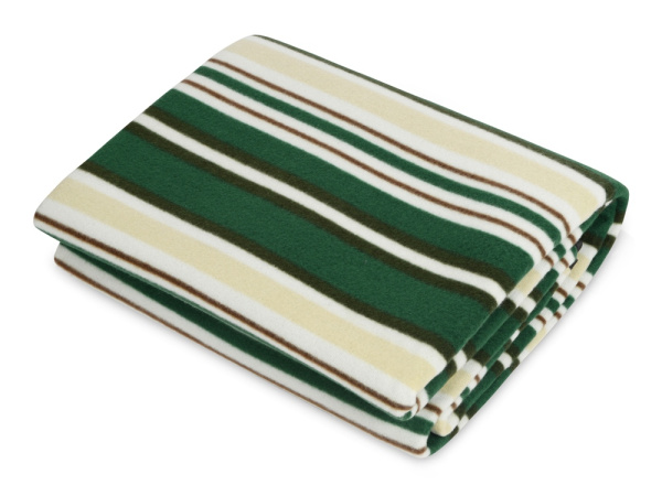 Плед для пикника «Junket» в сумке, Цвет зеленый