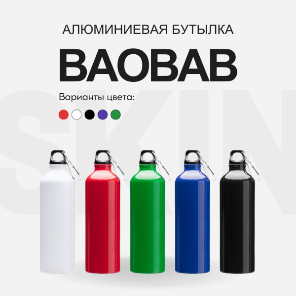 Алюминиевая бутылка BAOBAB 800 мл. с карабином