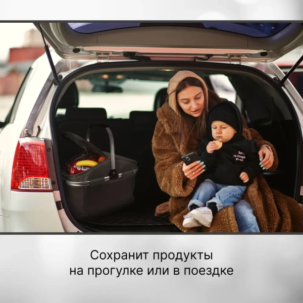 Термосумка  9043, 34,5 л, серый / Держит температуру до 10 часов, удобна для пикников и поездок