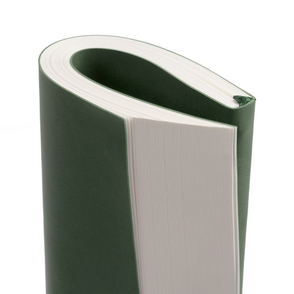 Ежедневник Flat Light, недатированный, зеленый, 14,7х20,6х1 см