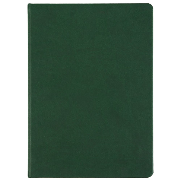 Ежедневник Basis, датированный, зеленый, 15х21х2,3 см