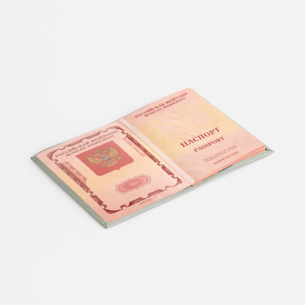 Обложка для паспорта Shall, ver. 2, серая, 9,6х13,9 см