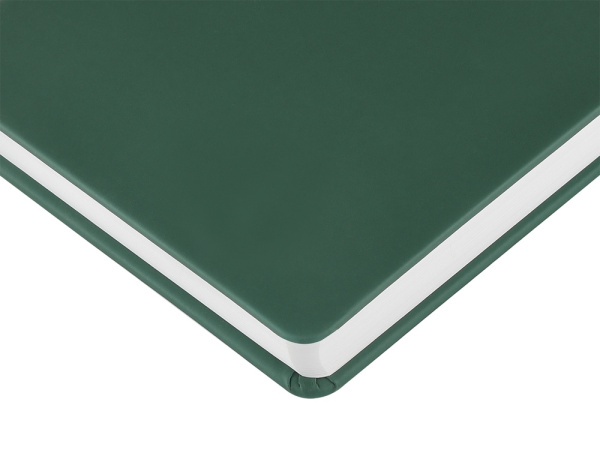 Ежедневник с каменной бумагой недатированный А5 «Carrara», Цвет зеленый