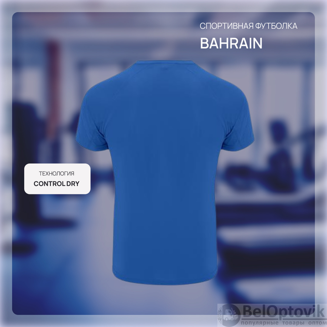 Спортивная футболка BAHRAIN мужская / Спортивная мужская футболка с технологией Control Dry и с рукавом реглан