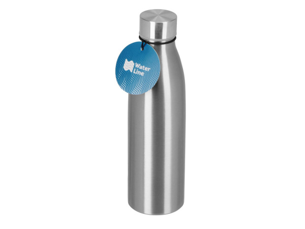 Бутылка для воды из нержавеющей стали «Rely», 650 мл, Цвет стальной