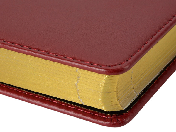 Ежедневник недатированный А5 «Parliament», Размер A5, Цвет бордовый