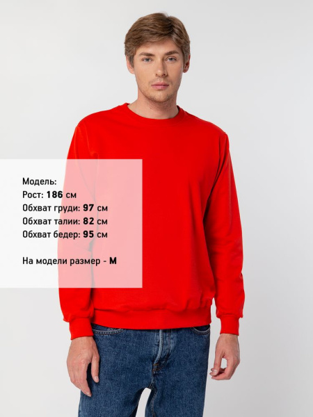 Свитшот Toima 2.0, красный, XS–4XL