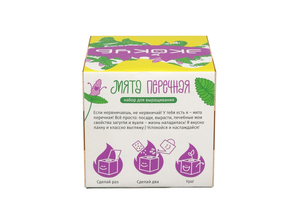 Набор для выращивания «Мята», Цвет желтый