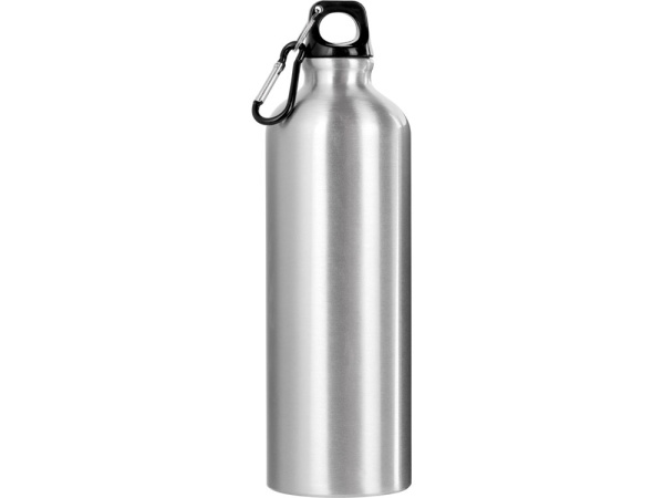 Бутылка «Hip M» с карабином, 770 мл, Цвет серебристый