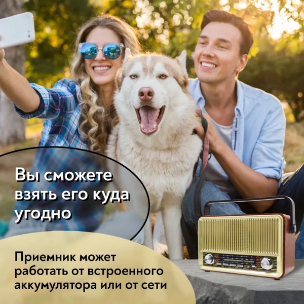 Переносной радиоприемник SR-1028, аналоговый, FM, AM, SW, разъемы USB, TF, microSD, AUX / Качественный звук