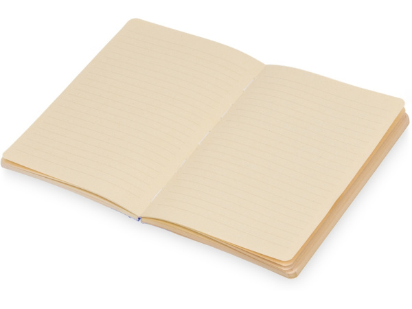 Блокнот А5 из переработанного тростника и RPET «Adiantum», Цвет синий/бежевый