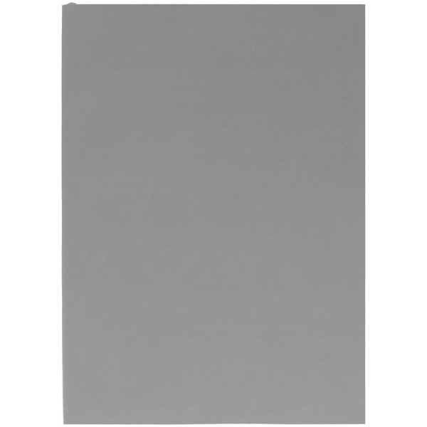 Ежедневник Flat, недатированный, серый, 14,6x20,5x1 см