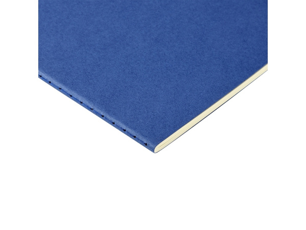 Бизнес тетрадь А5 «Pragmatic», Цвет синий