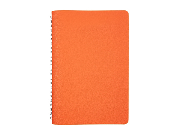 Ежедневник недатированный А5 «Alba», Цвет оранжевый