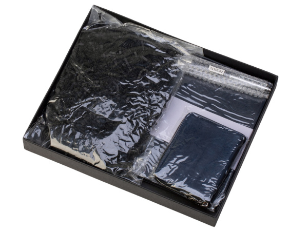 Подарочный набор «Fabrizio Large», Цвет темно-синий