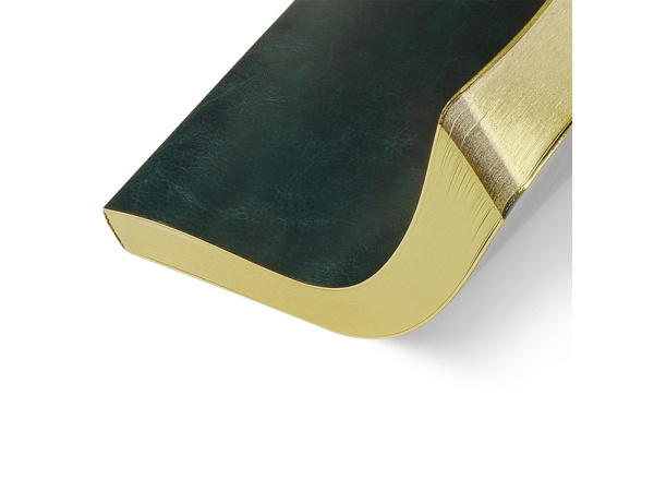 Ежедневник недатированный А5 «Megapolis Nebraska Flex», Цвет зеленый