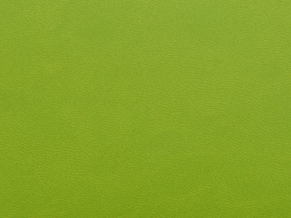 Блокнот А6 «Riner», Цвет зеленое яблоко