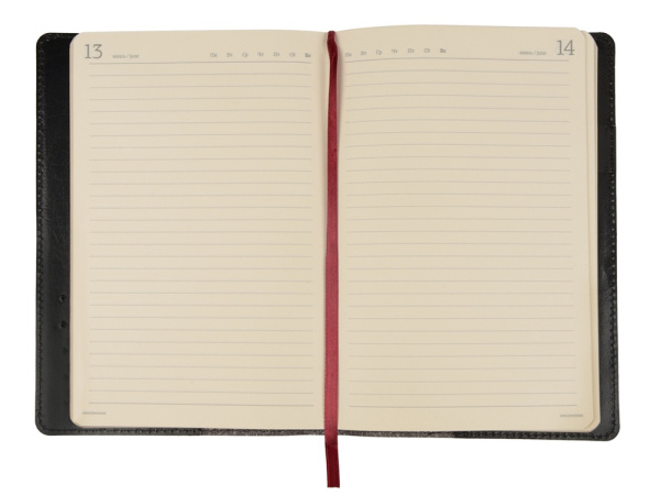 Ежедневник полудатированный портфолио А5 «Profy», Цвет черный