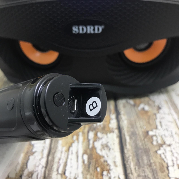 Беспроводная семейная Караоке система SDRD®  SD-306 с двумя микрофонами в комплекте