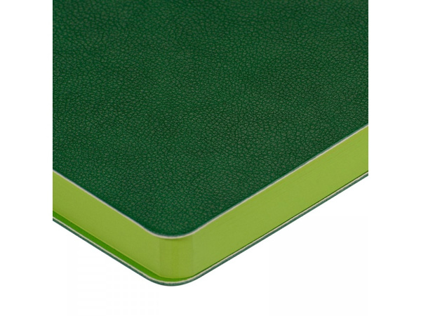 Ежедневник недатированный А5 «Boston», Цвет зеленый