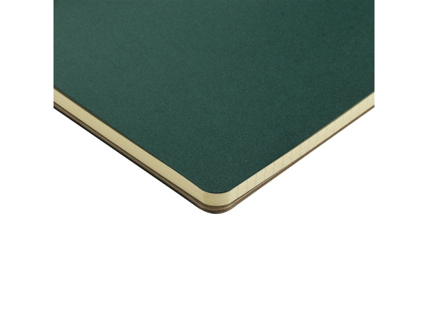 Бизнес тетрадь А5 «Pragmatic», Цвет зеленый