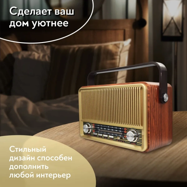Переносной радиоприемник SR-1028, аналоговый, FM, AM, SW, разъемы USB, TF, microSD, AUX / Качественный звук