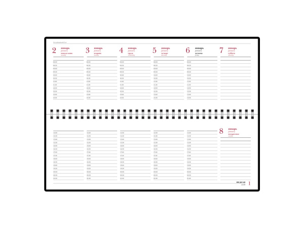 Планинг датированный «Ideal New» на 2025 год, Цвет черный