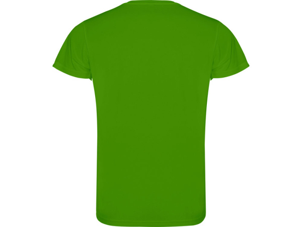 Футболка «Camimera» мужская, Размер L, Цвет папоротниковый