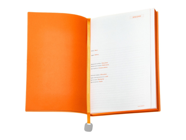 Ежедневник недатированный А5 «Mercury», Цвет белый