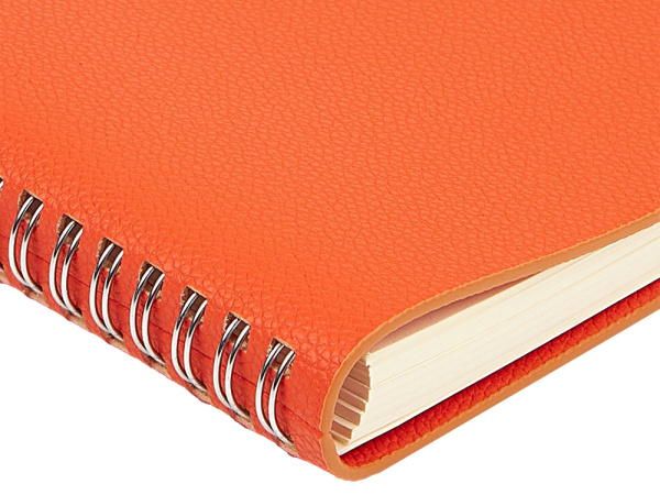 Ежедневник недатированный А5 «Alba», Цвет оранжевый