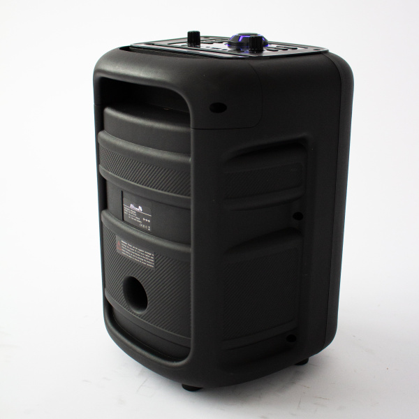 Портативная беспроводная bluetooth колонка  Eltronic CRAZY BOX 100 Watts  арт. 20-30 с проводным мик