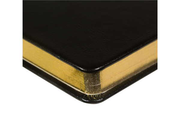 Ежедневник недатированный А5 «Megapolis Nebraska», Цвет черный