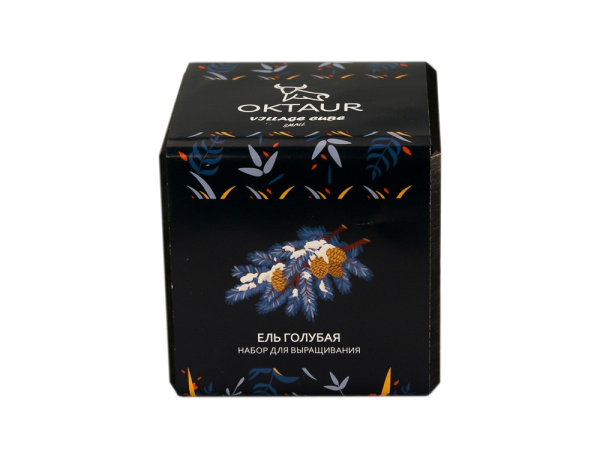 Набор для выращивания «Small village cube «Ель Голубая», Цвет черный