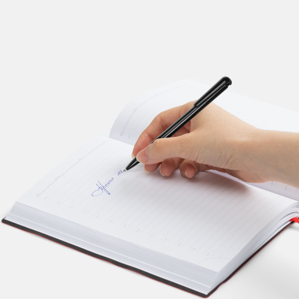 Ручка шариковая Penpal, черная, 14,5х1 см