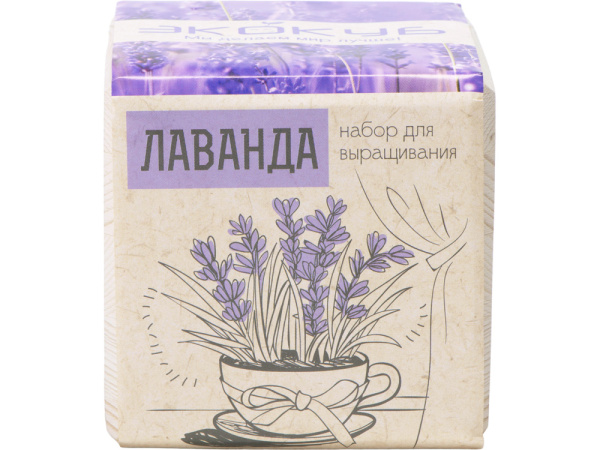 Набор для выращивания «Лаванда», Цвет бежевый