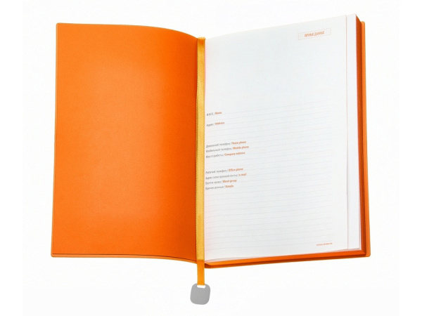 Ежедневник недатированный А5 «Mercury», Цвет синий