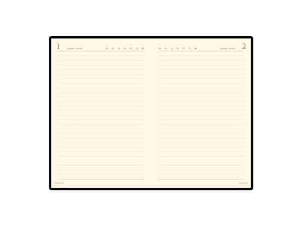 Ежедневник полудатированный портфолио А5 «Profy», Цвет синий