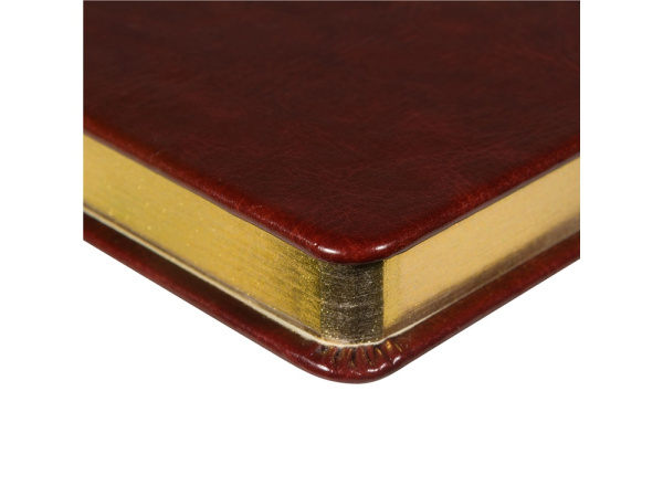 Ежедневник недатированный А5 «Megapolis Nebraska», Цвет коричневый