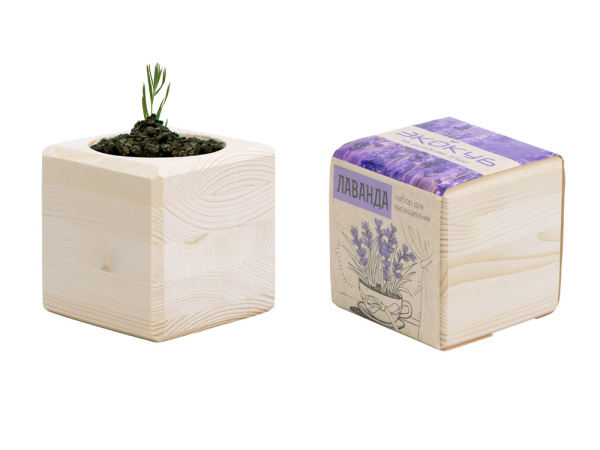 Набор для выращивания «Лаванда», Цвет бежевый