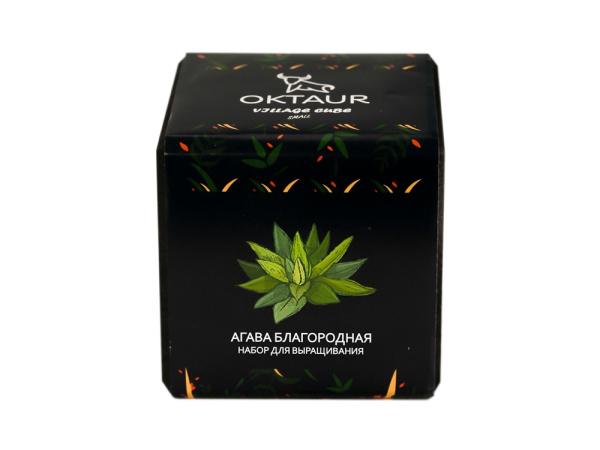 Набор для выращивания «Small village cube «Агава Благородная», Цвет черный